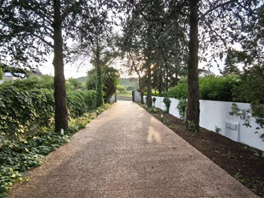 Immagine 122 di Villa in vendita  in FREEX a Martina Franca