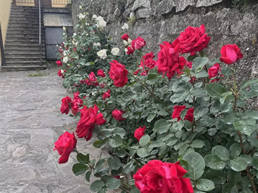 Immagine 6 di Casa indipendente in vendita  in Loc. Casale a Cavriglia