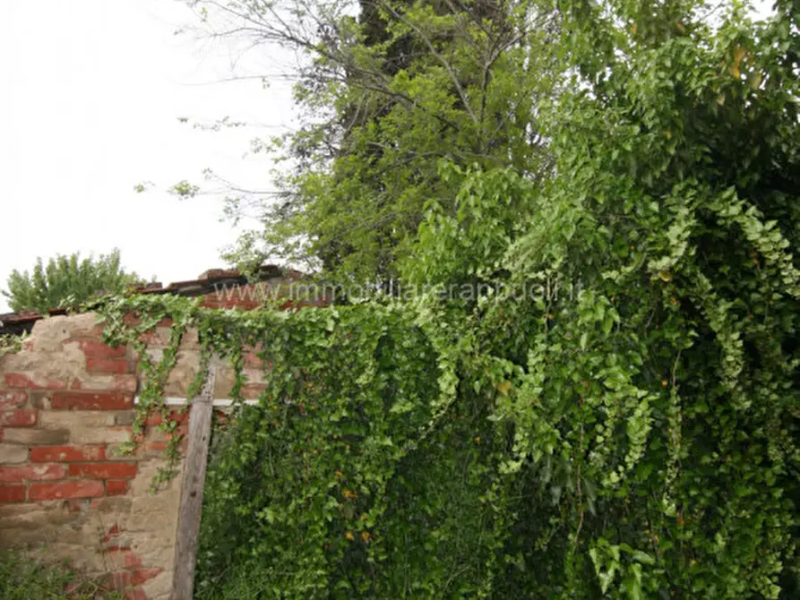 Immagine 19 di Casa indipendente in vendita  a Foiano Della Chiana