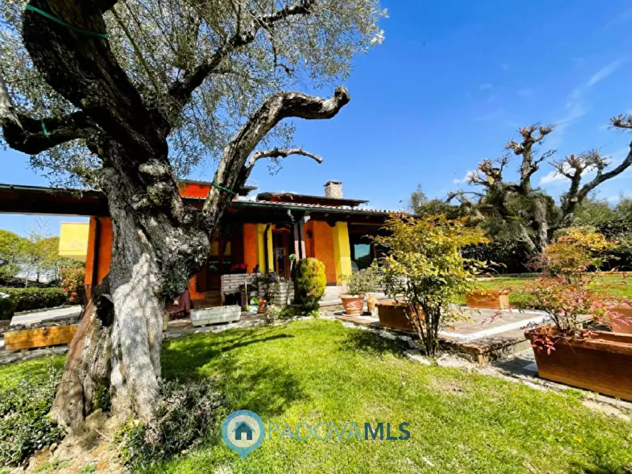 Immagine 2 di Villa in vendita  in via monte cengio a Vigonza