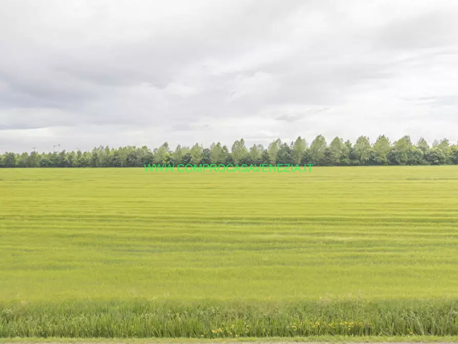 Immagine 39 di Palazzo in vendita  in Favaro V.to a Venezia