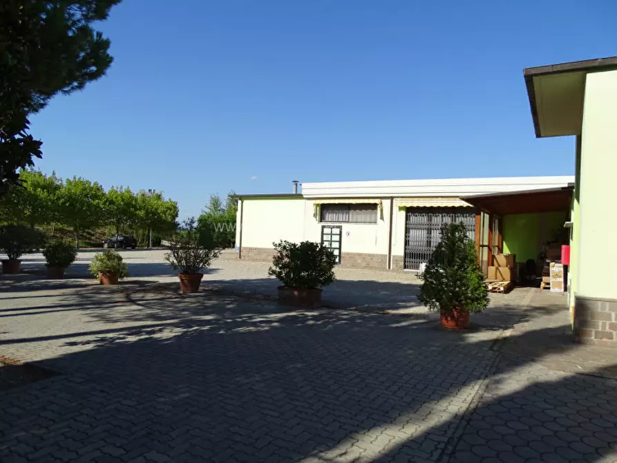 Immagine 2 di Capannone industriale in vendita  a Sinalunga