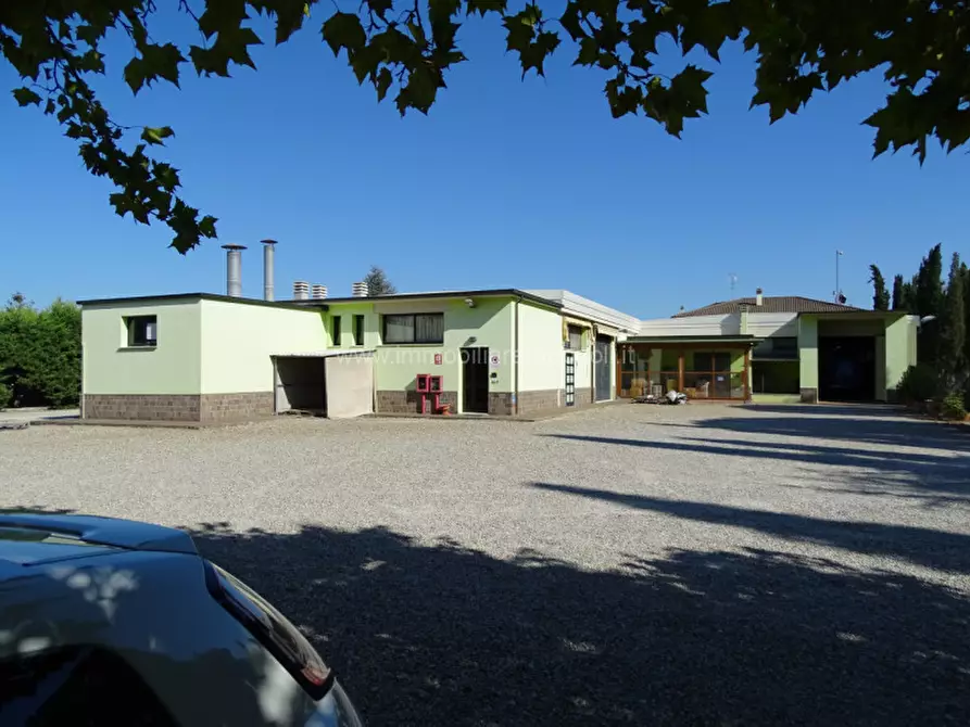 Immagine 3 di Capannone industriale in vendita  a Sinalunga