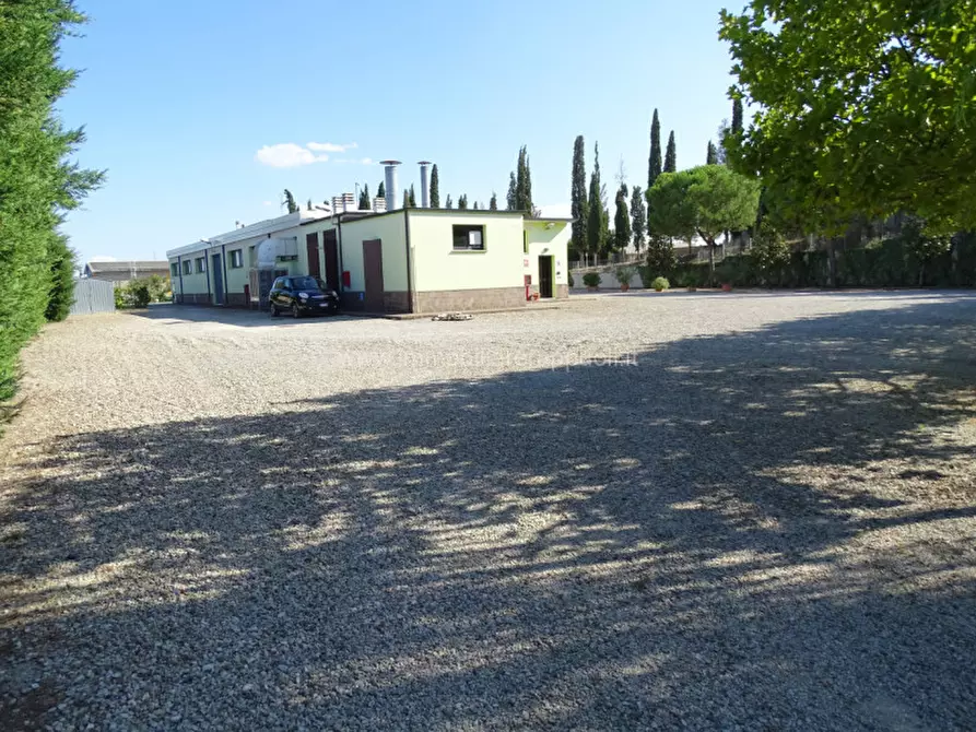 Immagine 4 di Capannone industriale in vendita  a Sinalunga