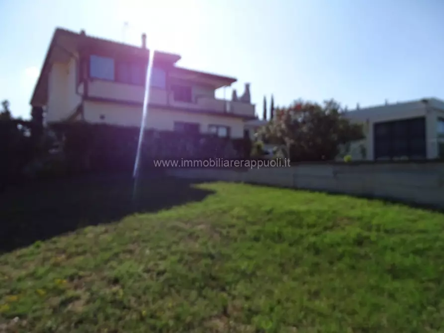 Immagine 5 di Capannone industriale in vendita  a Sinalunga