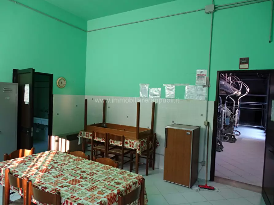 Immagine 7 di Capannone industriale in vendita  a Sinalunga