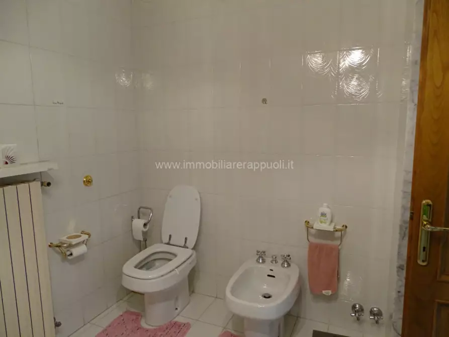 Immagine 18 di Capannone industriale in vendita  a Sinalunga