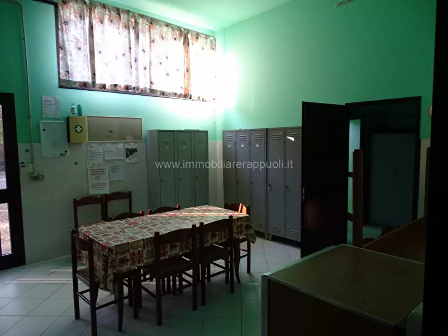 Immagine 23 di Capannone industriale in vendita  a Sinalunga