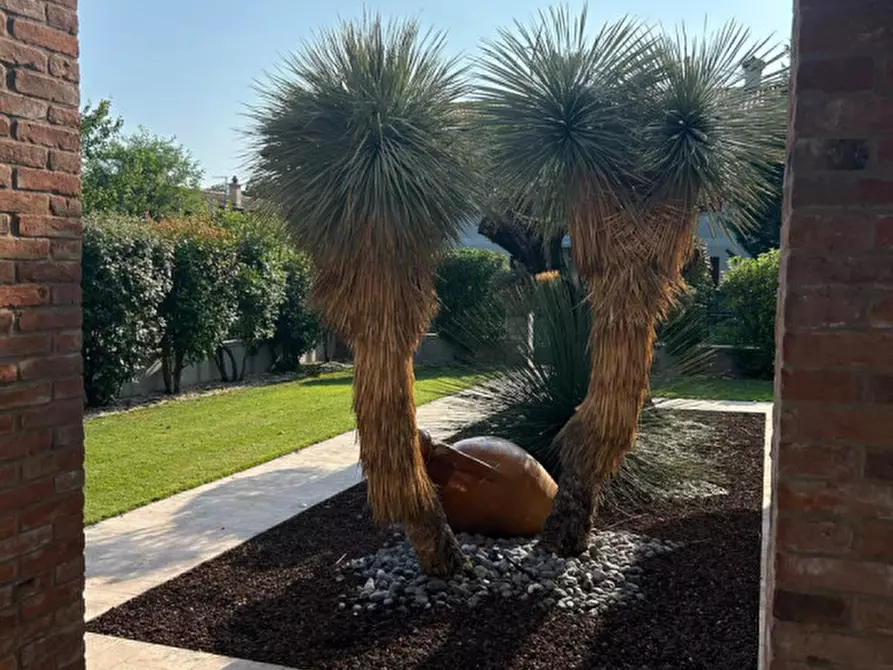 Immagine 3 di Casa indipendente in vendita  in Via Col Moschin 34 a Rosà