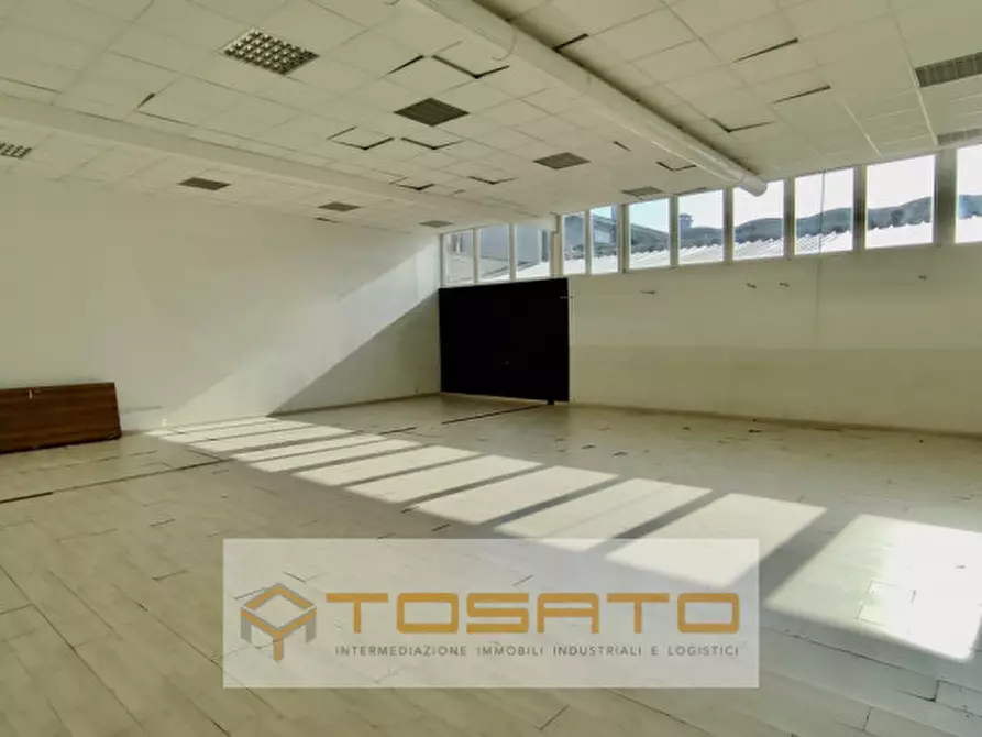 Immagine 3 di Capannone industriale in vendita  a Nogara