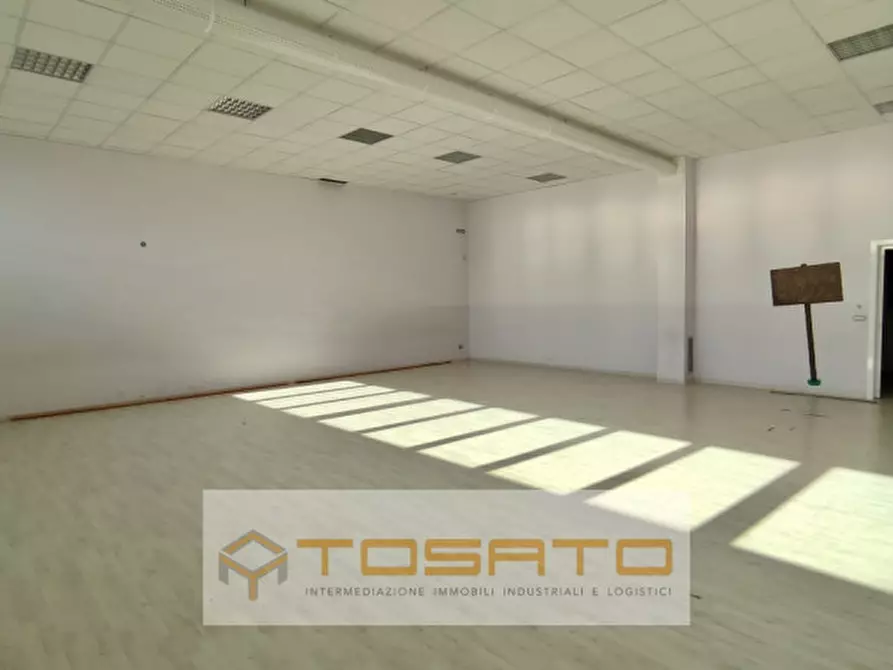 Immagine 3 di Capannone industriale in vendita  a Nogara