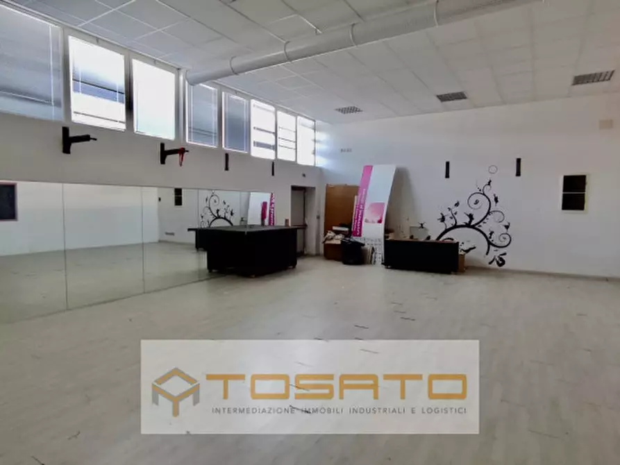 Immagine 4 di Capannone industriale in vendita  a Nogara