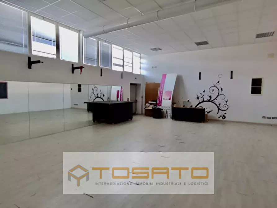 Immagine 5 di Capannone industriale in vendita  a Nogara