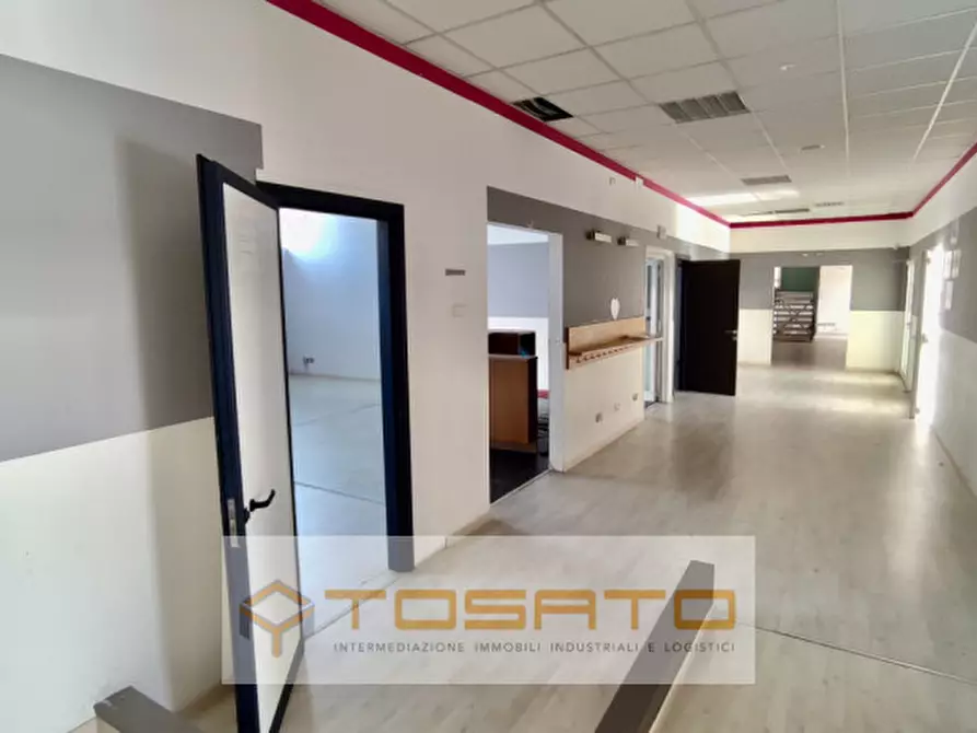 Immagine 7 di Capannone industriale in vendita  a Nogara