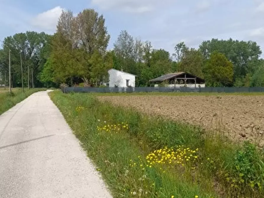 Immagine 3 di Rustico / casale in vendita  in Via Pantiera a Roncade