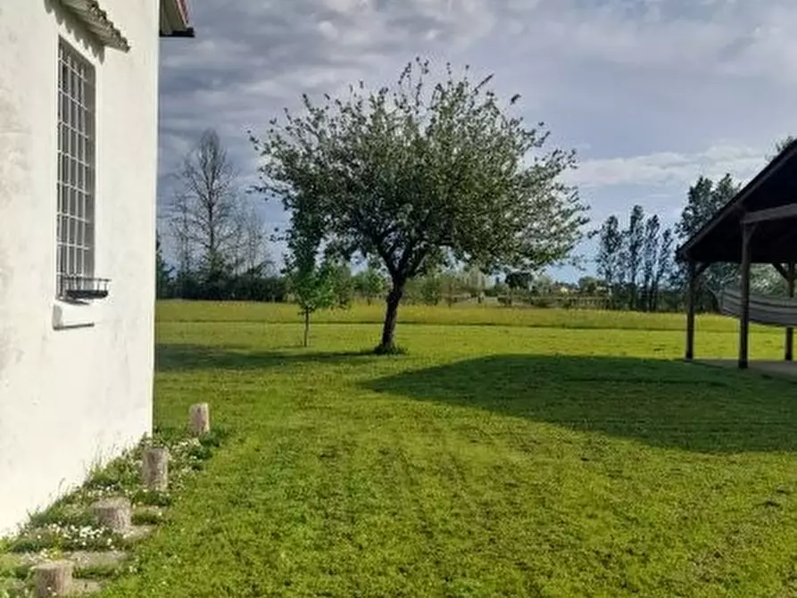 Immagine 6 di Rustico / casale in vendita  in Via Pantiera a Roncade