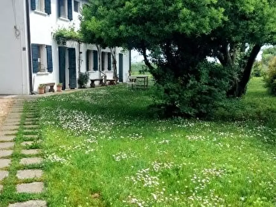 Immagine 6 di Rustico / casale in vendita  in Via Pantiera a Roncade