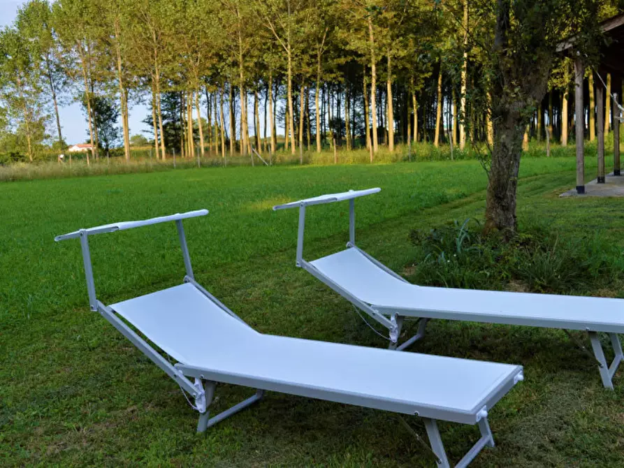 Immagine 14 di Rustico / casale in vendita  in Via Pantiera a Roncade