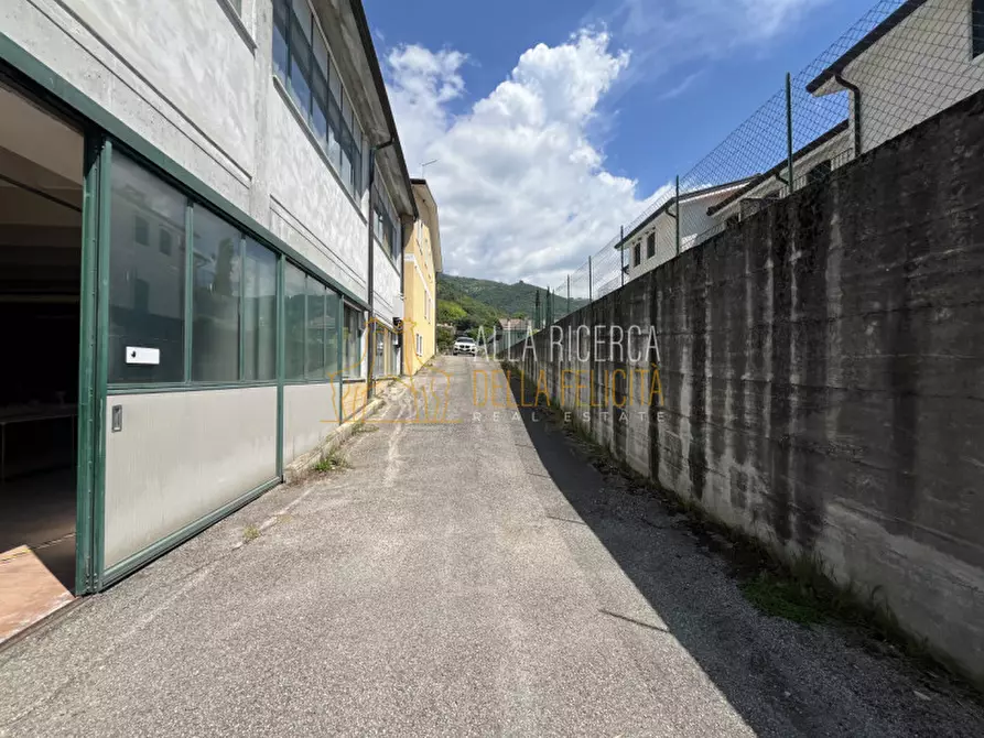 Immagine 7 di Capannone industriale in affitto  in Via Divisione Julia a Calvene