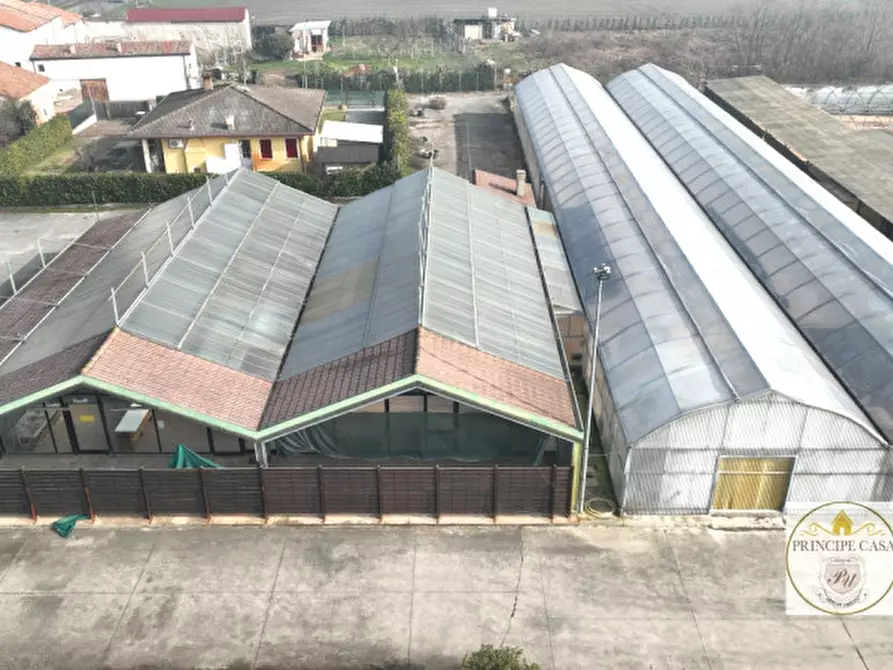 Immagine 2 di Magazzino in vendita  in Via Motta a Monselice