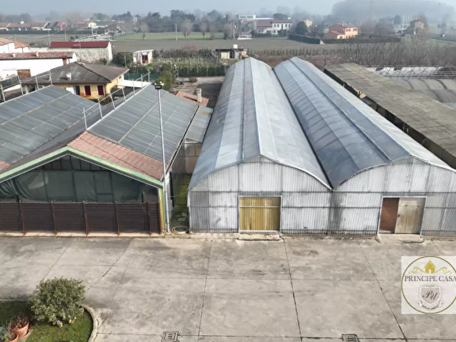 Immagine 3 di Magazzino in vendita  in Via Motta a Monselice