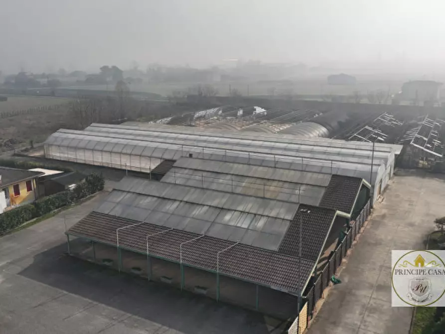 Immagine 4 di Magazzino in vendita  in Via Motta a Monselice