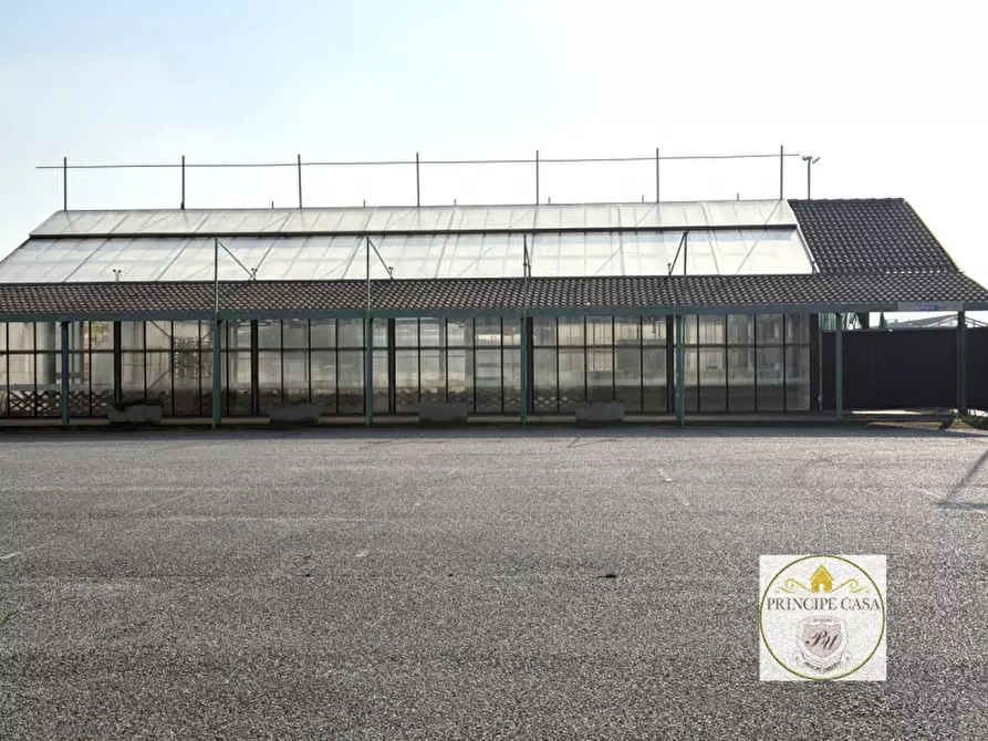 Immagine 5 di Magazzino in vendita  in Via Motta a Monselice