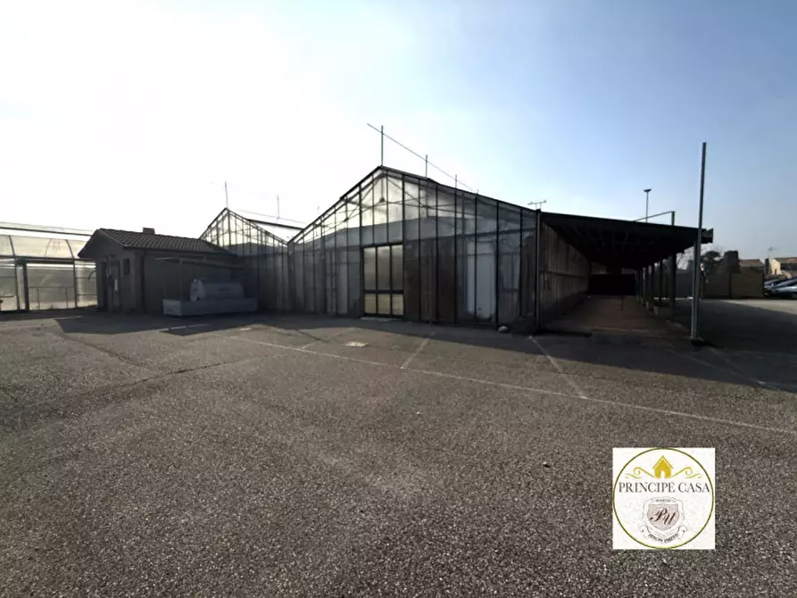 Immagine 6 di Magazzino in vendita  in Via Motta a Monselice