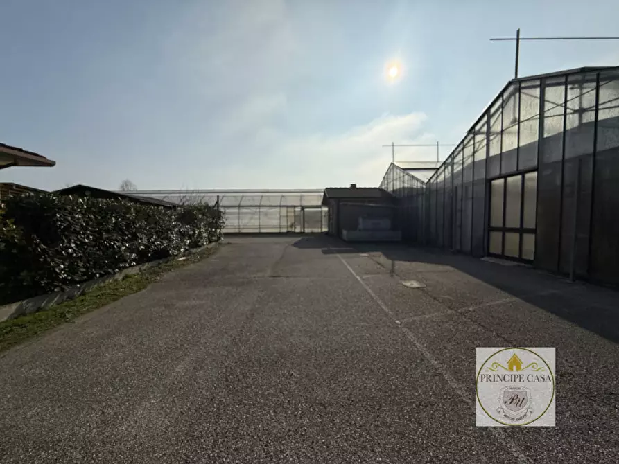 Immagine 9 di Magazzino in vendita  in Via Motta a Monselice