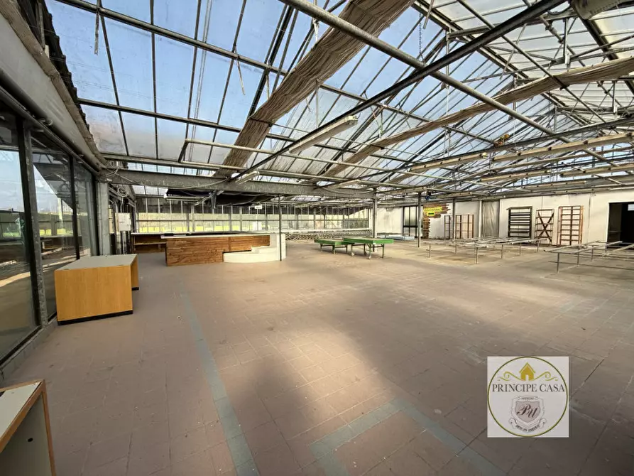 Immagine 11 di Magazzino in vendita  in Via Motta a Monselice