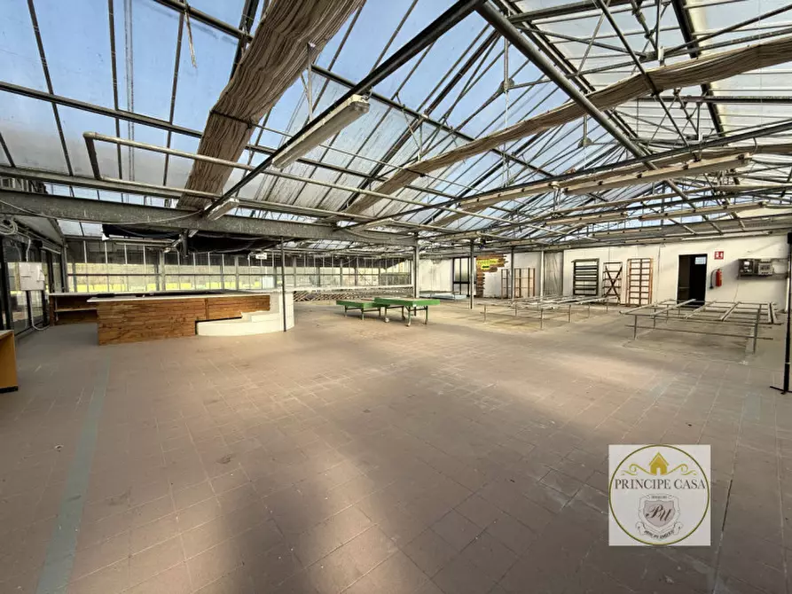 Immagine 12 di Magazzino in vendita  in Via Motta a Monselice