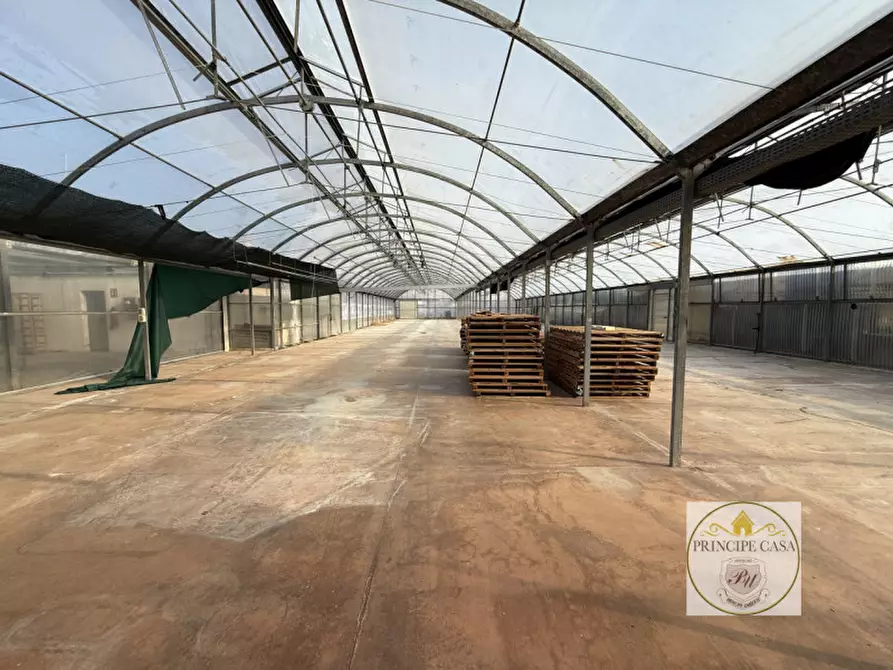 Immagine 13 di Magazzino in vendita  in Via Motta a Monselice