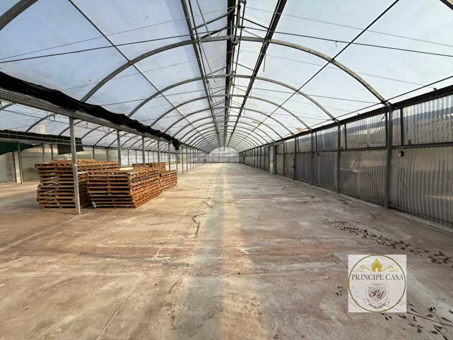 Immagine 14 di Magazzino in vendita  in Via Motta a Monselice