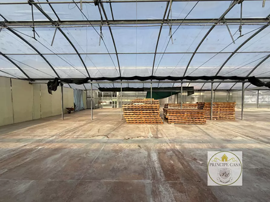 Immagine 15 di Magazzino in vendita  in Via Motta a Monselice