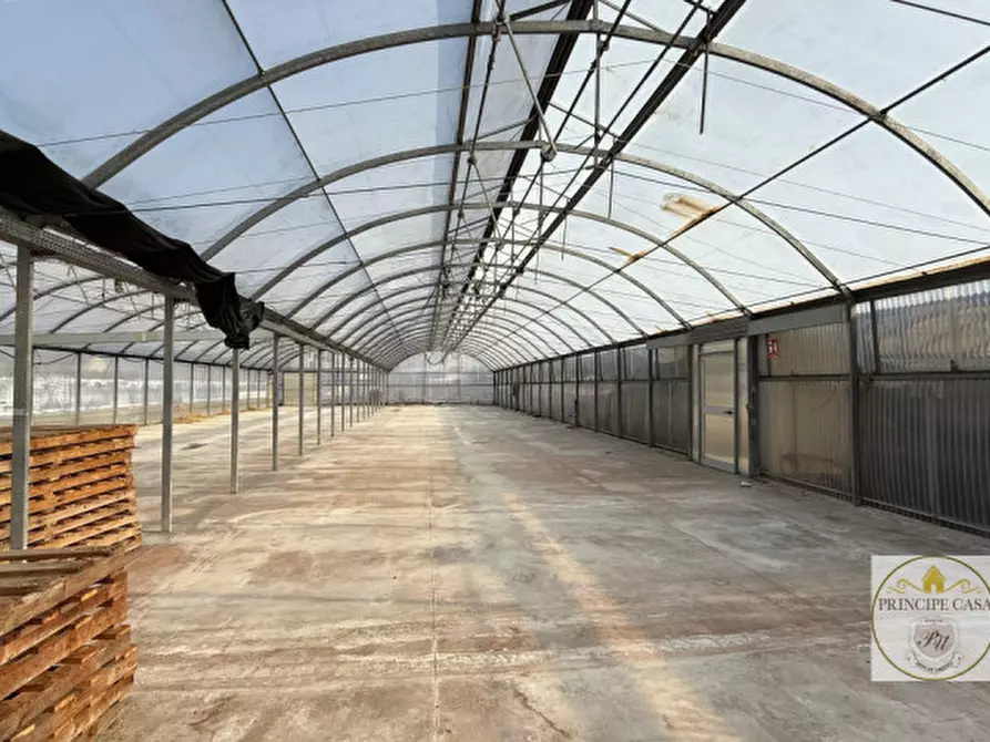 Immagine 19 di Magazzino in vendita  in Via Motta a Monselice