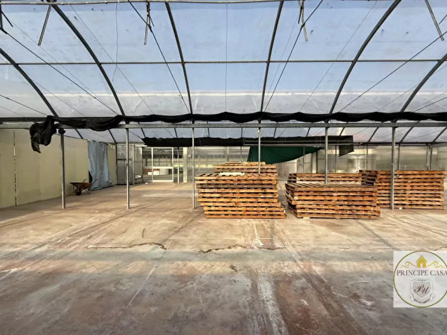 Immagine 20 di Magazzino in vendita  in Via Motta a Monselice