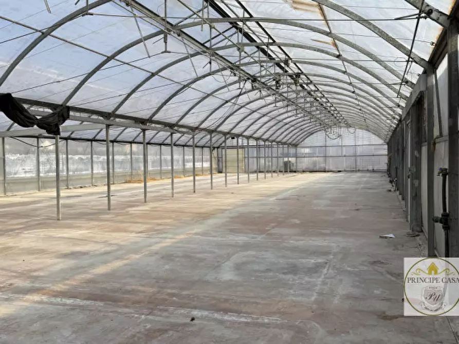 Immagine 21 di Magazzino in vendita  in Via Motta a Monselice