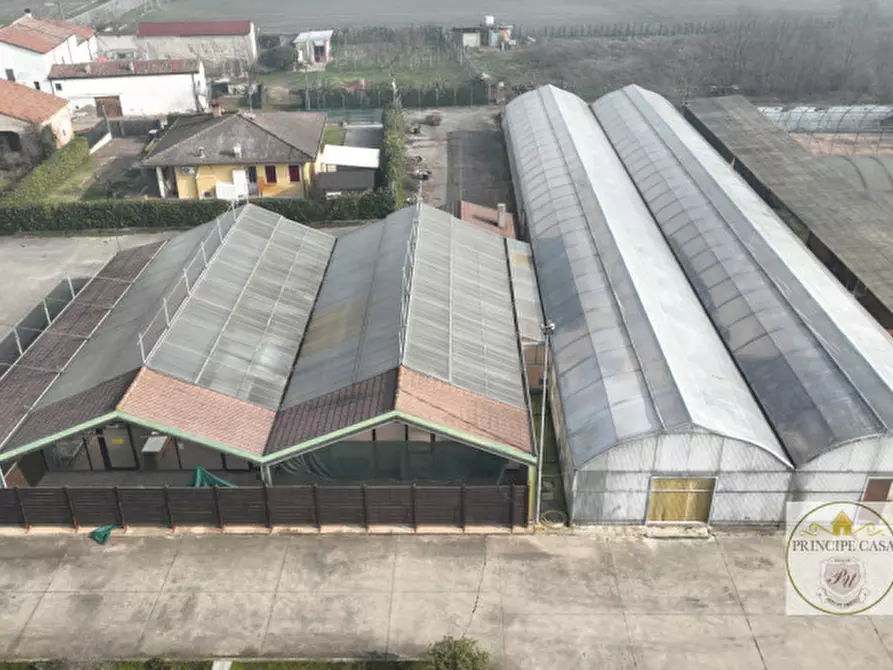 Immagine 22 di Magazzino in vendita  in Via Motta a Monselice