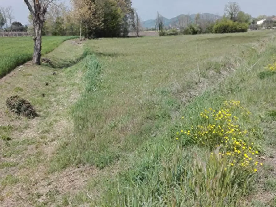 Immagine 1 di Terreno in vendita  a Monselice