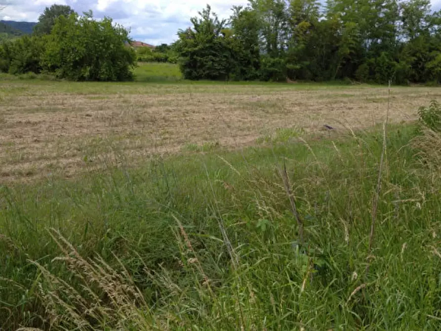 Immagine 2 di Terreno in vendita  a Monselice