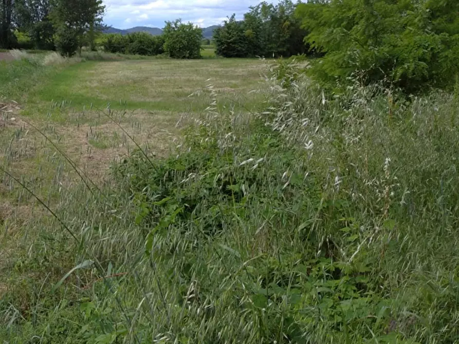 Immagine 3 di Terreno in vendita  a Monselice