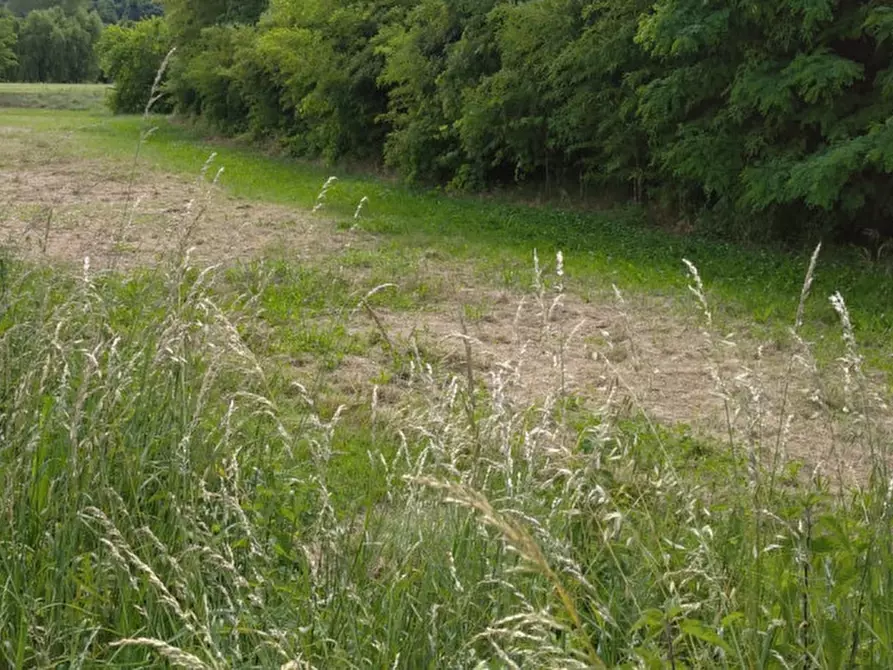 Immagine 4 di Terreno in vendita  a Monselice