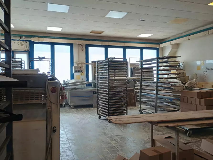 Immagine 13 di Attività commerciale in vendita  in STRADA VALPERGA 27 a Salassa