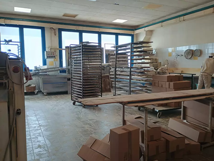 Immagine 19 di Attività commerciale in vendita  in STRADA VALPERGA 27 a Salassa