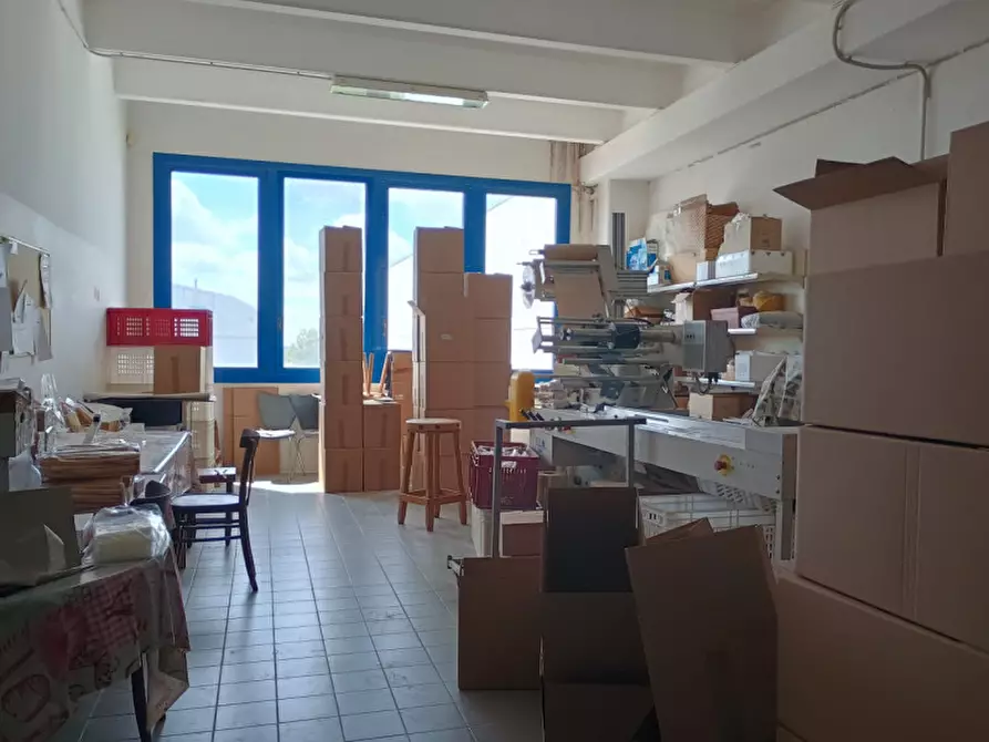 Immagine 24 di Attività commerciale in vendita  in STRADA VALPERGA 27 a Salassa