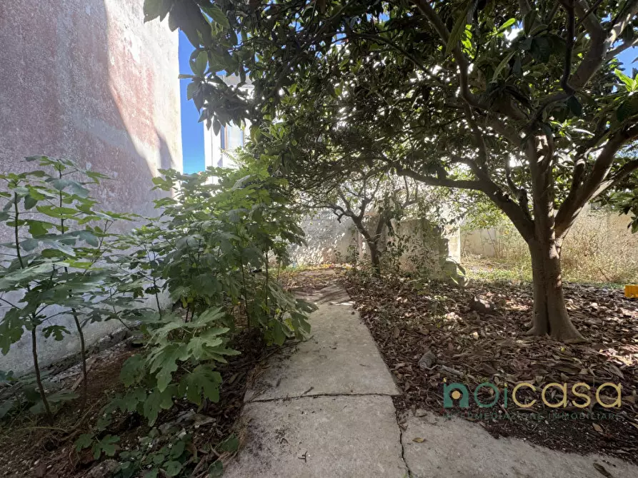 Immagine 6 di Casa indipendente in vendita  in via Pio XII a Novoli