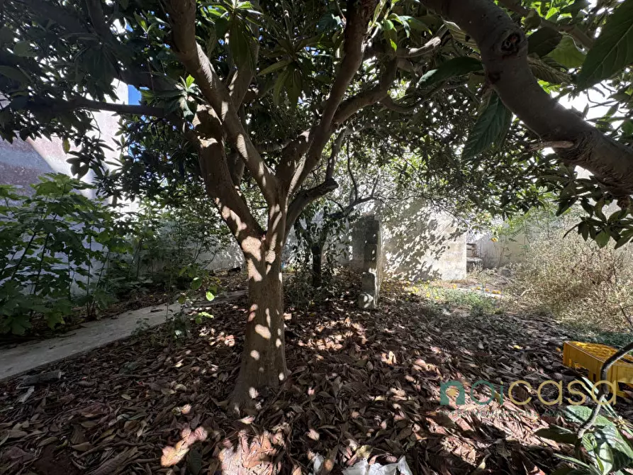 Immagine 7 di Casa indipendente in vendita  in via Pio XII a Novoli