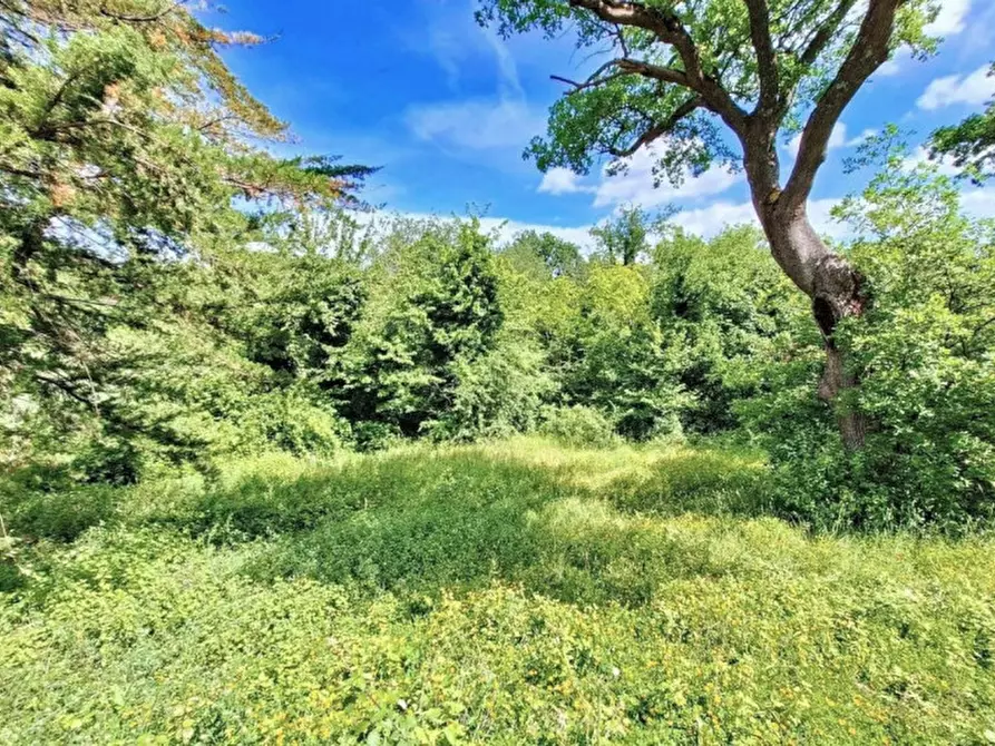 Immagine 13 di Villa in vendita  in Via Lioni, N. 1 a Cingoli