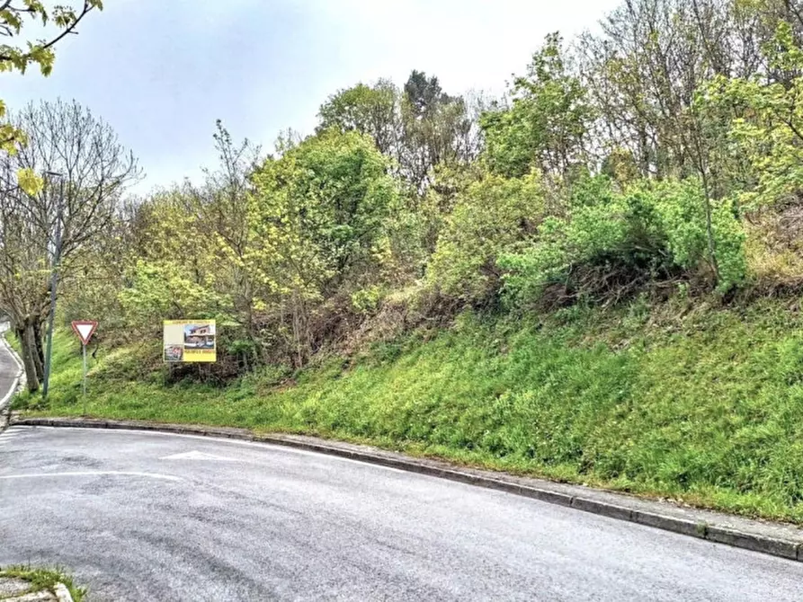 Immagine 1 di Terreno in vendita  in Via Trentavisi, N. Snc a Cingoli