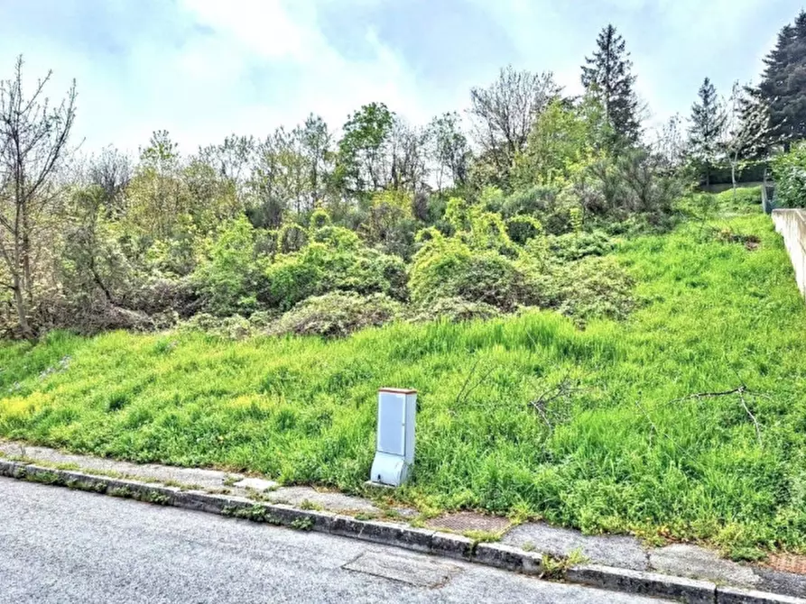 Immagine 2 di Terreno in vendita  in Via Trentavisi, N. Snc a Cingoli